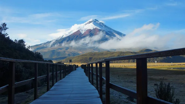 Holzpfad in der Nähe der Limpiopungo-Lagune mit dem Cotopaxi-Vulkan im Hintergrund an einem bewölkten Morgen - Ecuador — Stockfoto