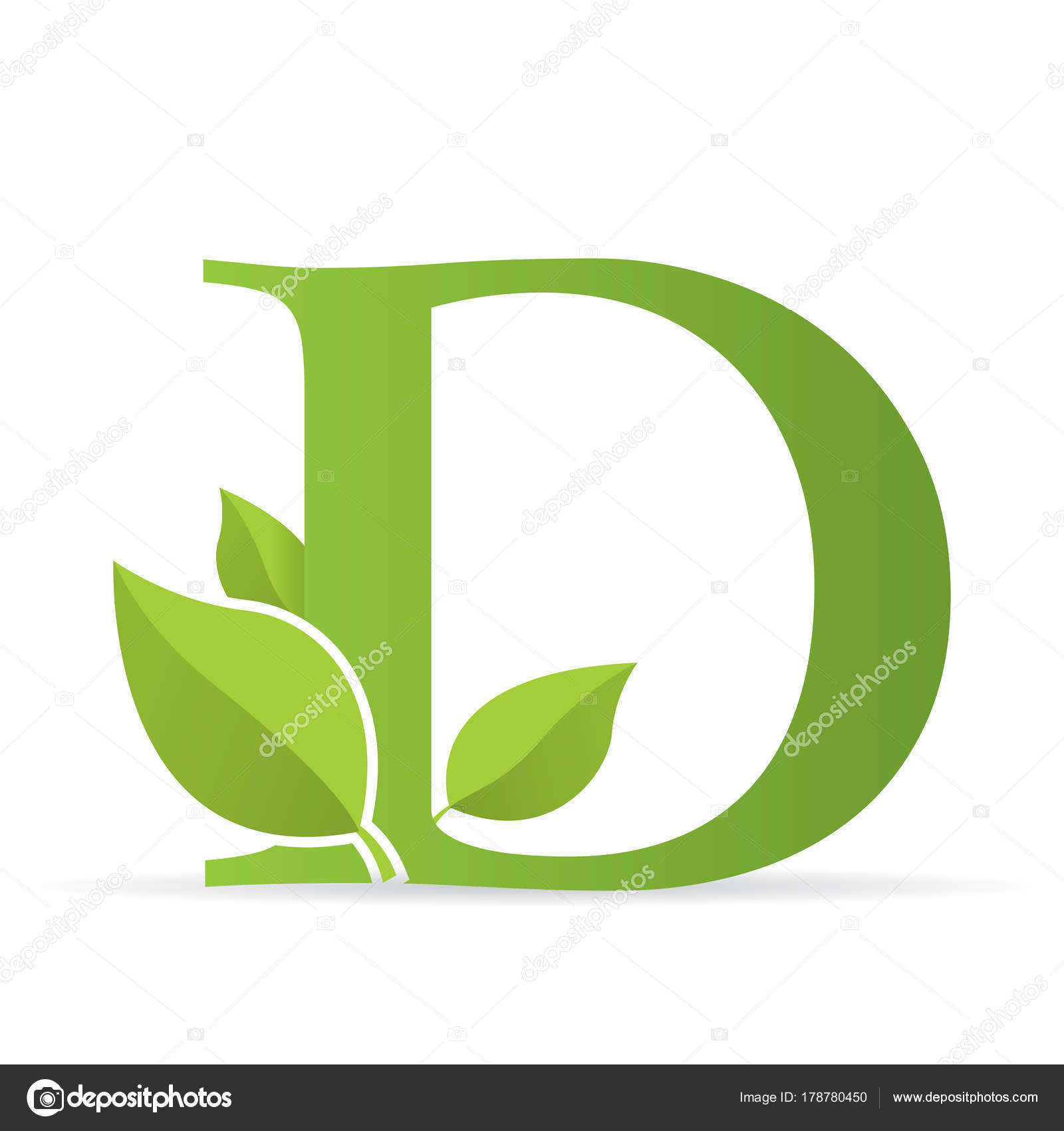 Letra D Decorado Logotipo Con Letra Color Verde Decorado