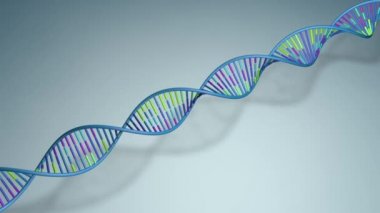 Mavi, yeşil ve mor renkli uzun DNA dizisi zemindeki mavi arka plan gölgesinde yavaşça dönüyor. 3d Canlandırma