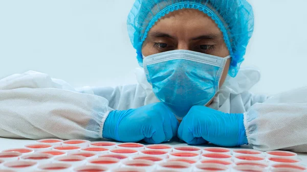 Doctor with mask and blue gloves staring at a group of round clinical samples with red liquid on a white surface