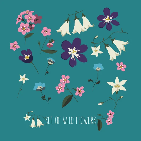 Conjunto vectorial de flores silvestres sobre un fondo azul . — Vector de stock