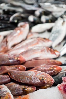 Piyasada taze balık