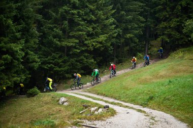 Ormandaki uzak bir grup bisikletçi
