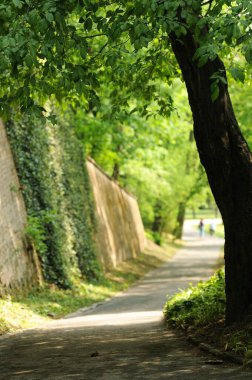 Yeşil parktaki duvarlı patika