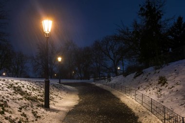 Geceleri kar fırtınası sırasında boş parkta lamba.