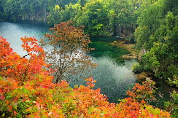 Podzimní Pohled Národní Park Plitvická Jezera — Stock fotografie