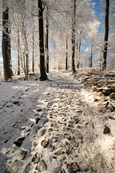 Stony Path Winter — Stock Photo, Image