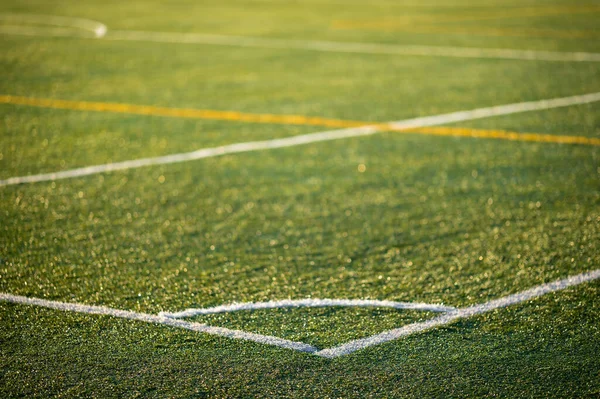 Detail of the corner of an artificial turf. Photo with low depth of field.