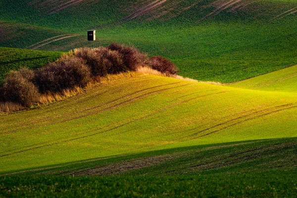 Countryside South Moravia Czech Republic Europe Typical Wavy Rolling Hills — Stock Photo, Image