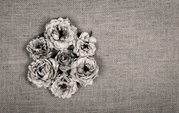 Dry wilted roses on a natural linen background. Monochrome