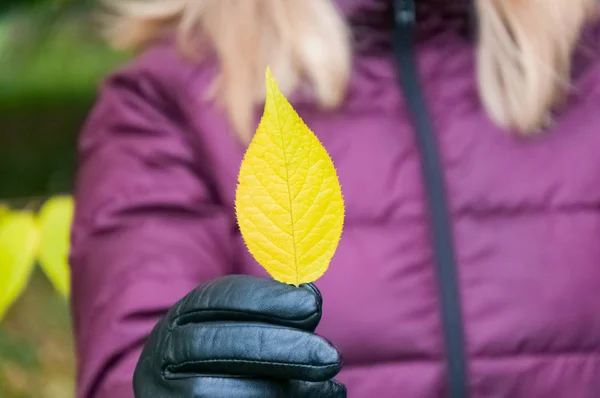 A girl with blond hair in a lilac jacket holds a yellow autumn leaf in her hand