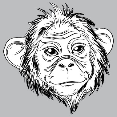 sevimli maymun tasarımını