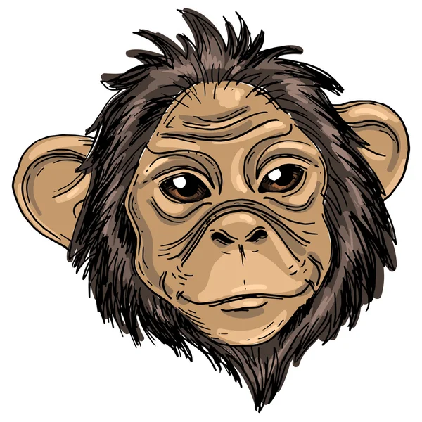 Design of cute monkey — Stock vektor