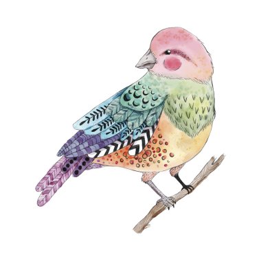 şirin kuş tasarımını