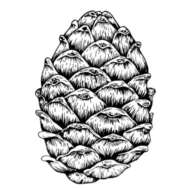 şirin süper tasarımı