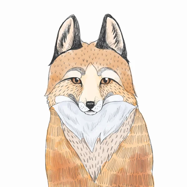 Design of cute fox — Stock Vector