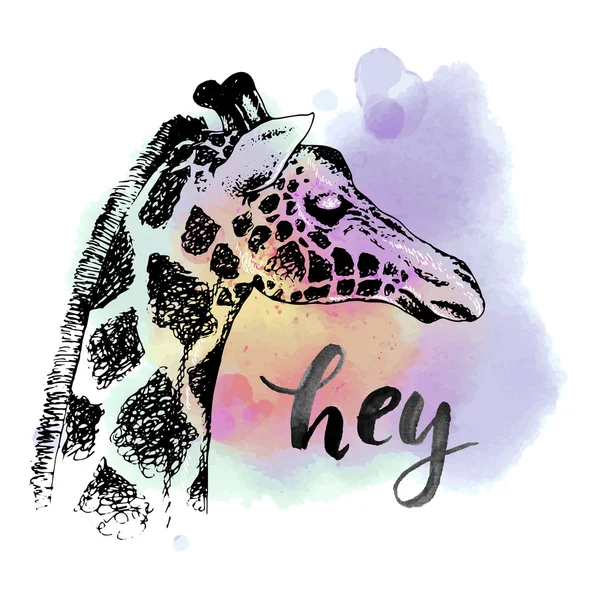 Ontwerp van schattige giraffe — Stockvector