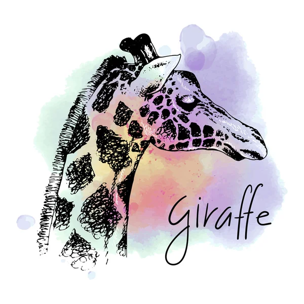 Дизайн милих жирафів — стоковий вектор