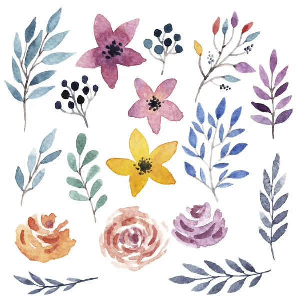 Vector floral set. — Stock Vector