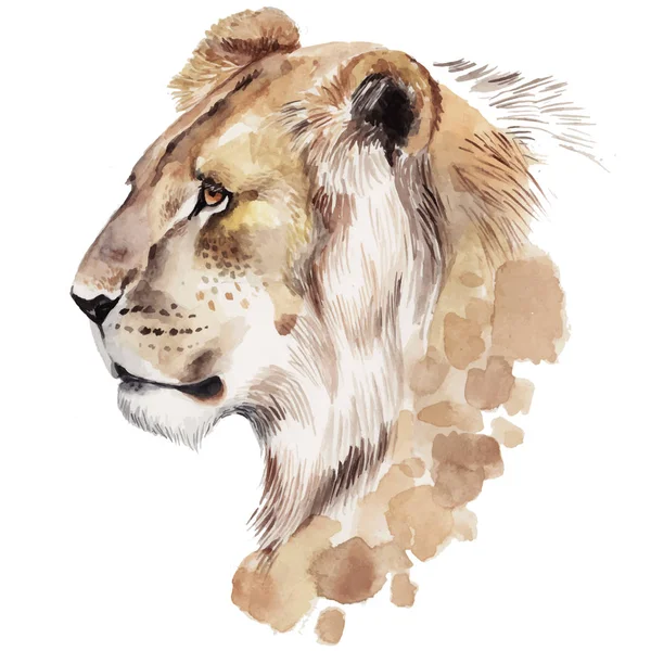 水彩のライオンの肖像画。手描きの動物イラスト — ストックベクタ