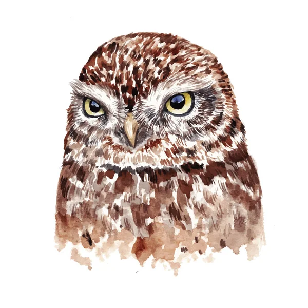 Hibou aquarelle réaliste. Illustration dessinée main — Image vectorielle