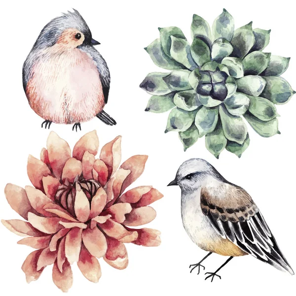 Collezione fiori, uccelli, succulenti, acquerello stile . — Vettoriale Stock