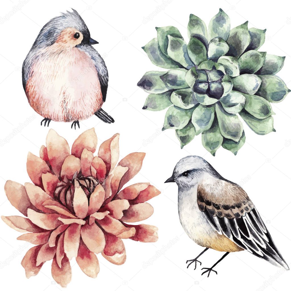 Collection flowers, bird, succulent, watercolor style.