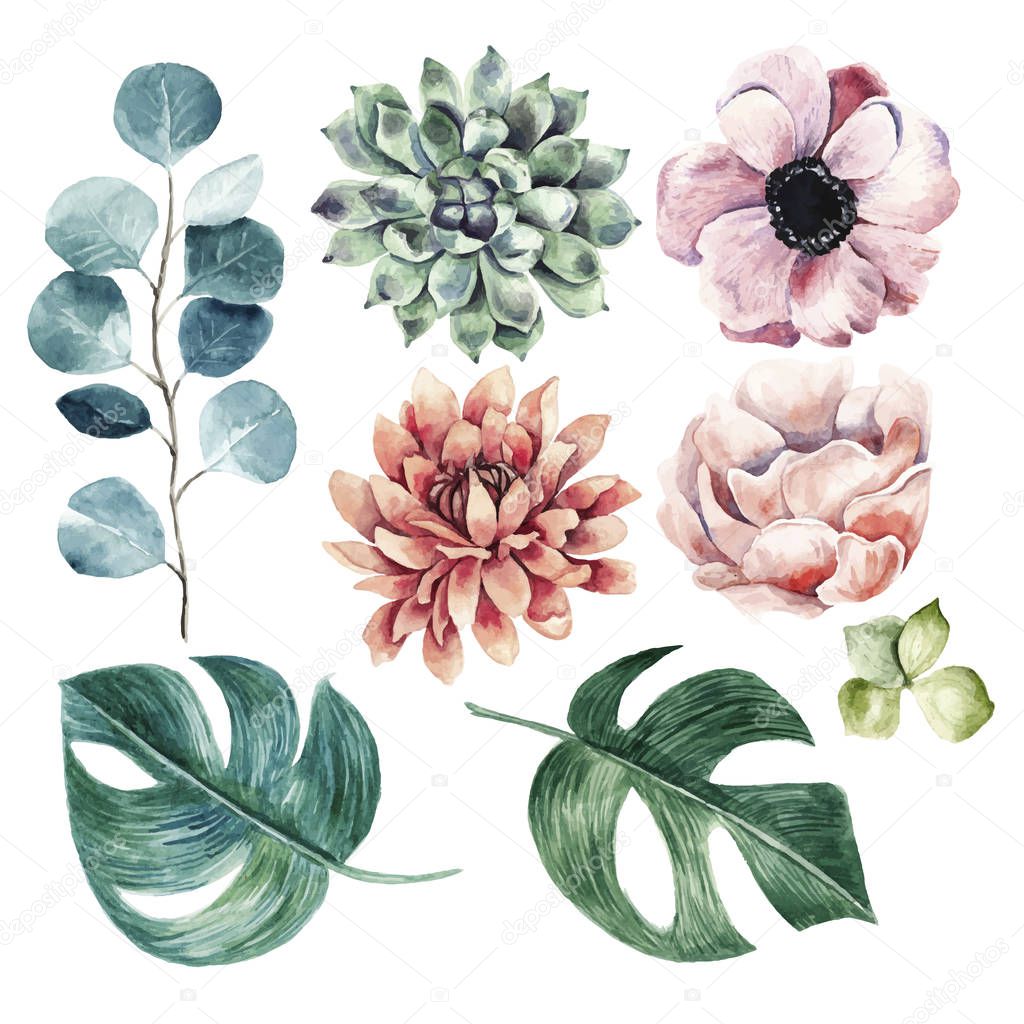 Big flower collection.Watercolor hand drawn illustration with plants