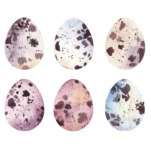 Easter quail eggs. Watercolor illustration. — Stock Vector