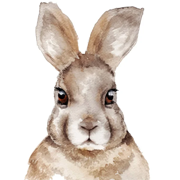 Ritratto di coniglio acquerello — Vettoriale Stock
