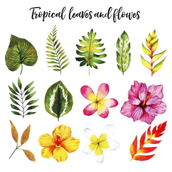 Watercolor set with tropical leaves and flowers — Stock Vector