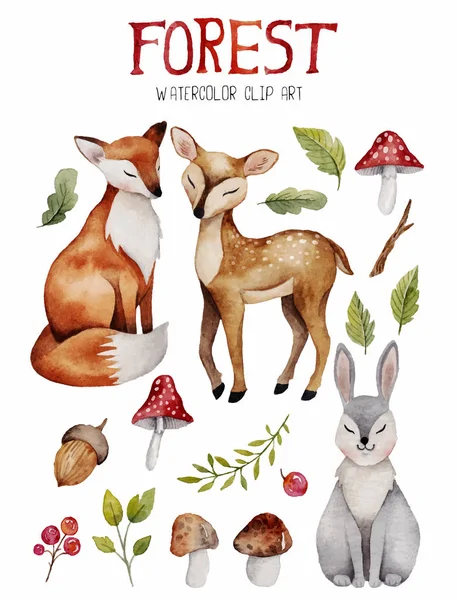 Aquarel clipart met schattige bos elementen. — Stockvector