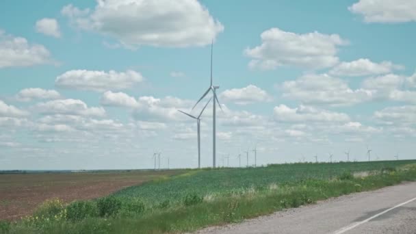 Grönt fält och vindkraftverk gård — Stockvideo