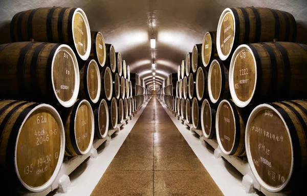 Σειρές από τα βαρέλια του κρασιού σε ένα υπόγειο υπόγειο θάλαμο — Φωτογραφία Αρχείου