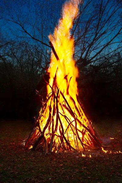 Big fire in the forest. — Stock Photo, Image