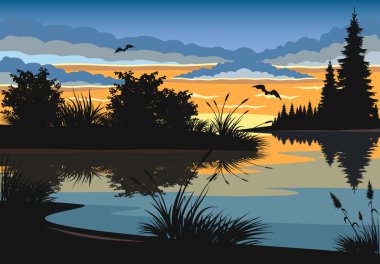 Manzara. Sunset bulvarında bir göl.