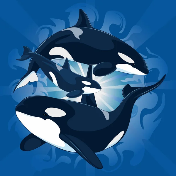 Vector Illustration Family Killer Whales Cub Underwater Backdrop Sunlight Royalty Free Stock Illustrations