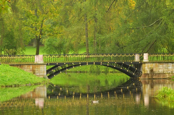 Beautiful metal bridge. — Stock Photo, Image