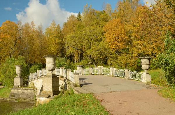 Ponte a Pavlovsk Park . — Foto Stock