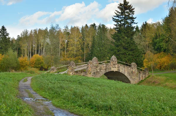 Пейзаж с мостом в лесу . — стоковое фото