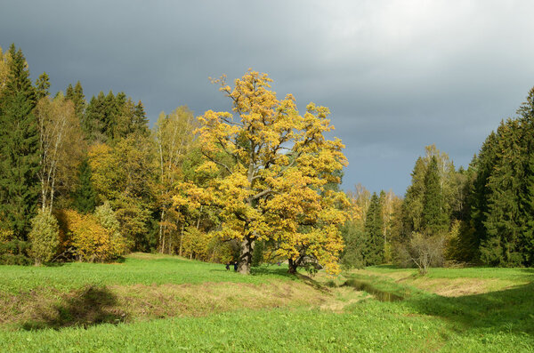 грозовые тучи в небе.