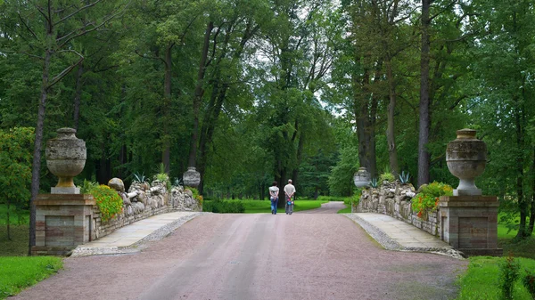 Breiteste Brücke im Park. — Stockfoto