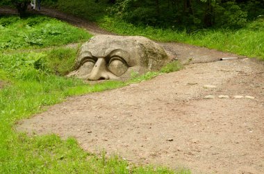 Orman yolu ile çakıl.
