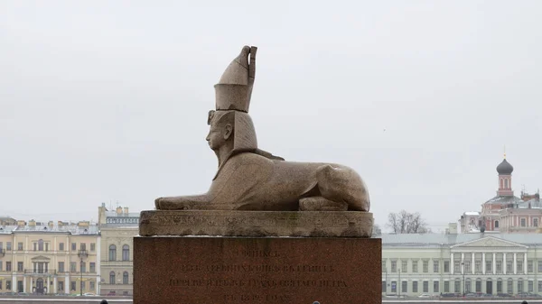 A szobor a Szfinx, a Néva-folyó. — Stock Fotó