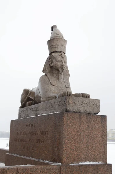 Socha Sfingy na břehu řeky Neva. — Stock fotografie