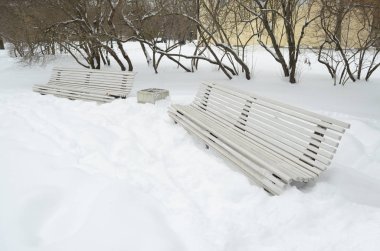 Kışın bol kar yağışı.