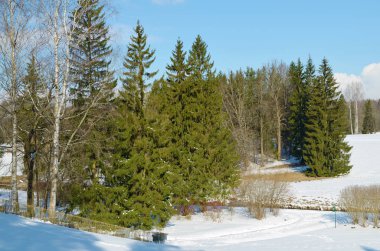 Ormanda bahar buzları eriyor..