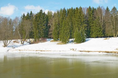 Ormanda bahar buzları eriyor..