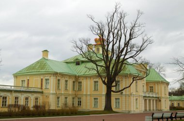 Bir ağaç evin yanındaki silüeti.