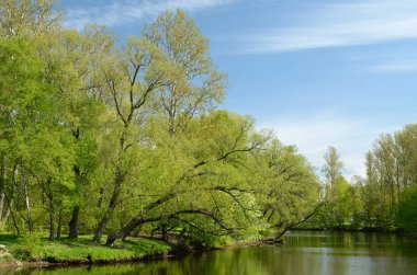 Bahar doğal peyzaj.